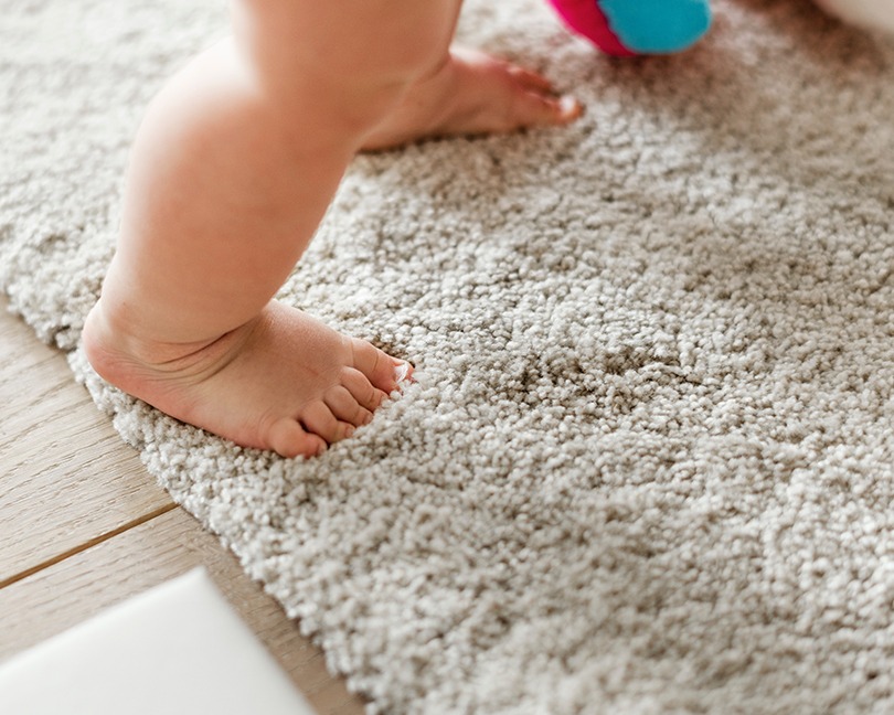 Carpet Cleaning Purity Carpet Cleaning